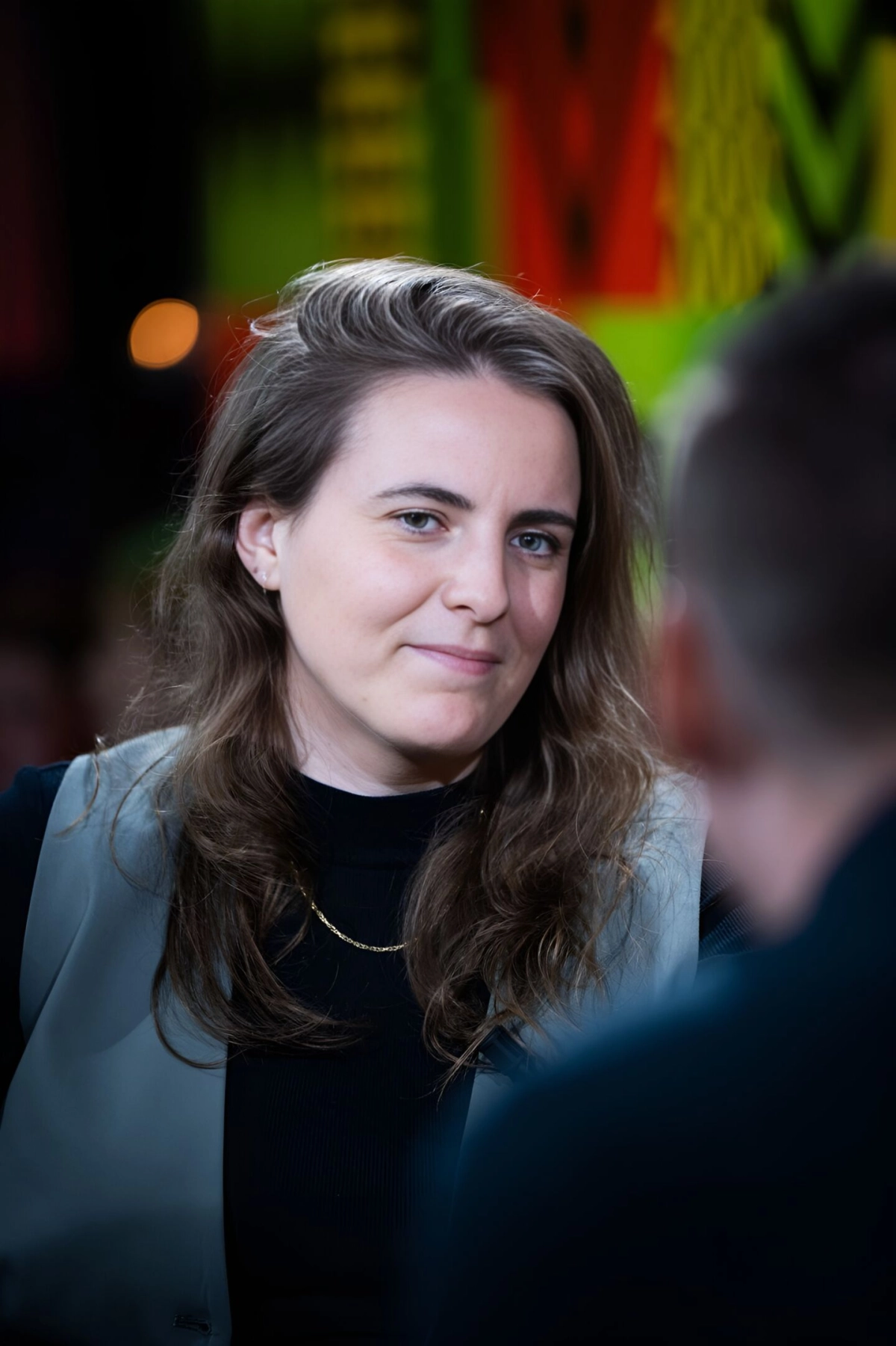 Anne Steenhoff - Een lui letterland